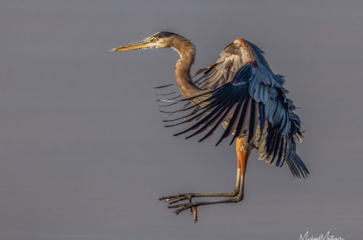 East Texas Photography Workshops