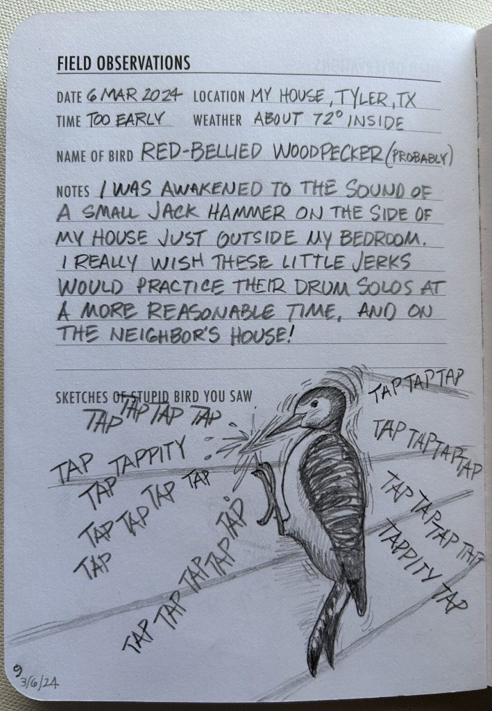 Birdbrain Brian's Blog,