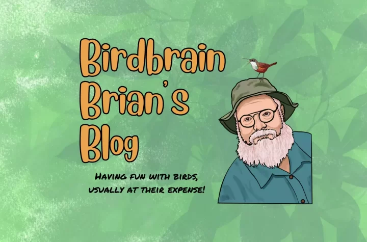 Birdbrain Brian's Blog; Brian Sanders