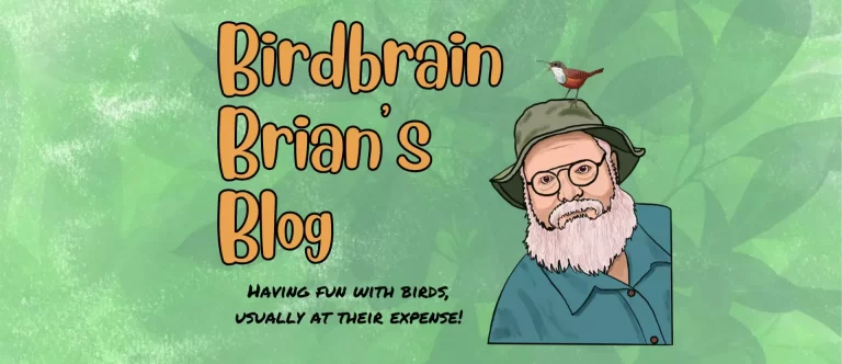 Birdbrain Brian's Blog: Brian Sanders