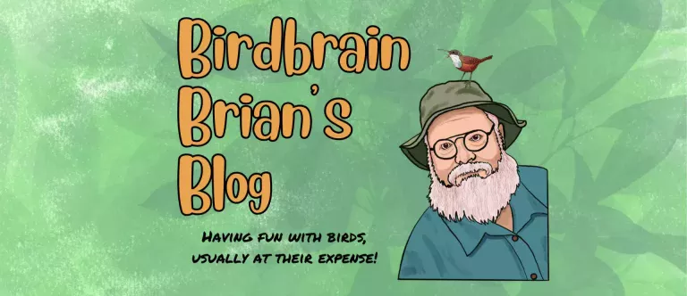 Birdbrain Brian's Blog: Brian Sanders