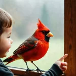 How to Edit Bird Photos Without Making the Cardinal Look Radioactive