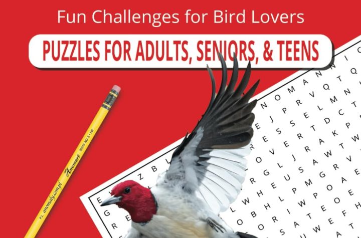 Field Guide to Birds Word Search Book - sold on East Texas Birding