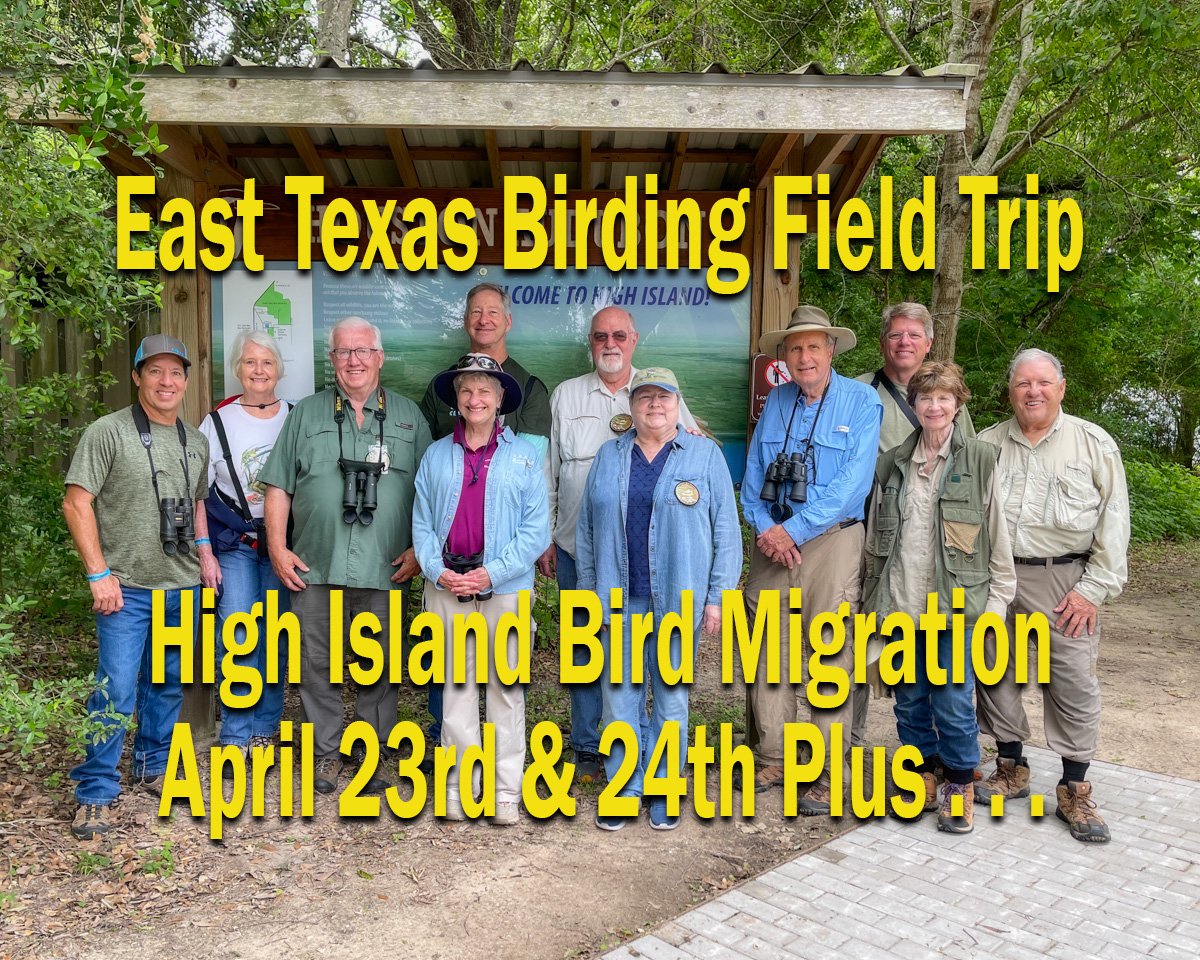 High Island Field Trip - East Texas Birdin