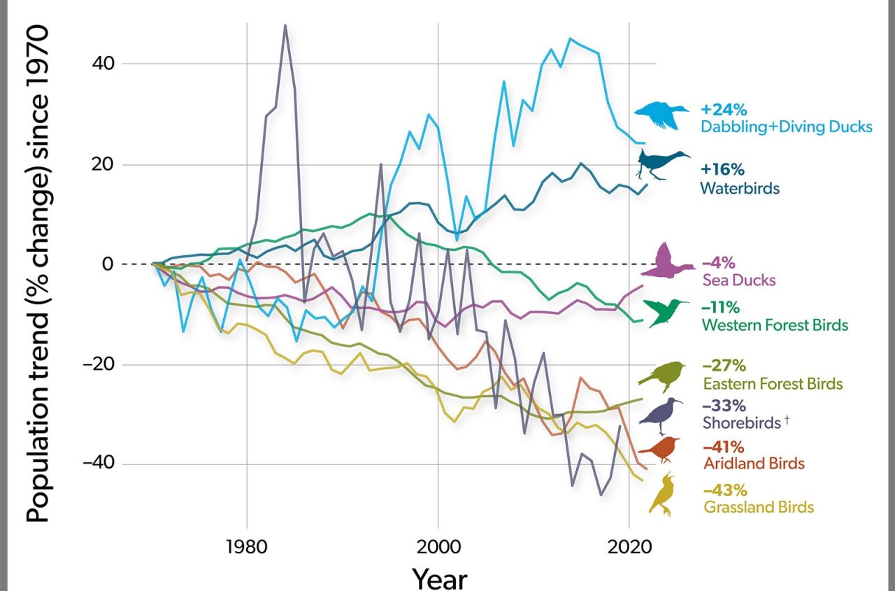 Decline of North American Birds past 50 years