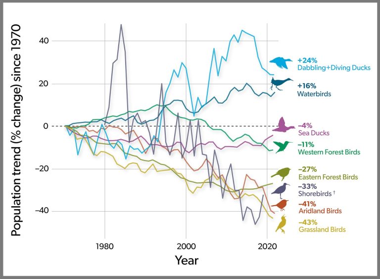 Decline of North American Birds past 50 years