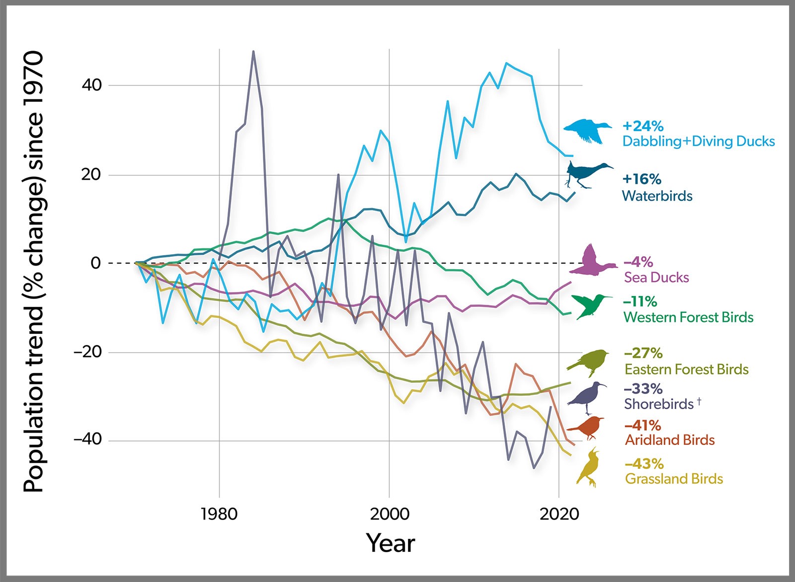 Decline of North American Birds past 50 years