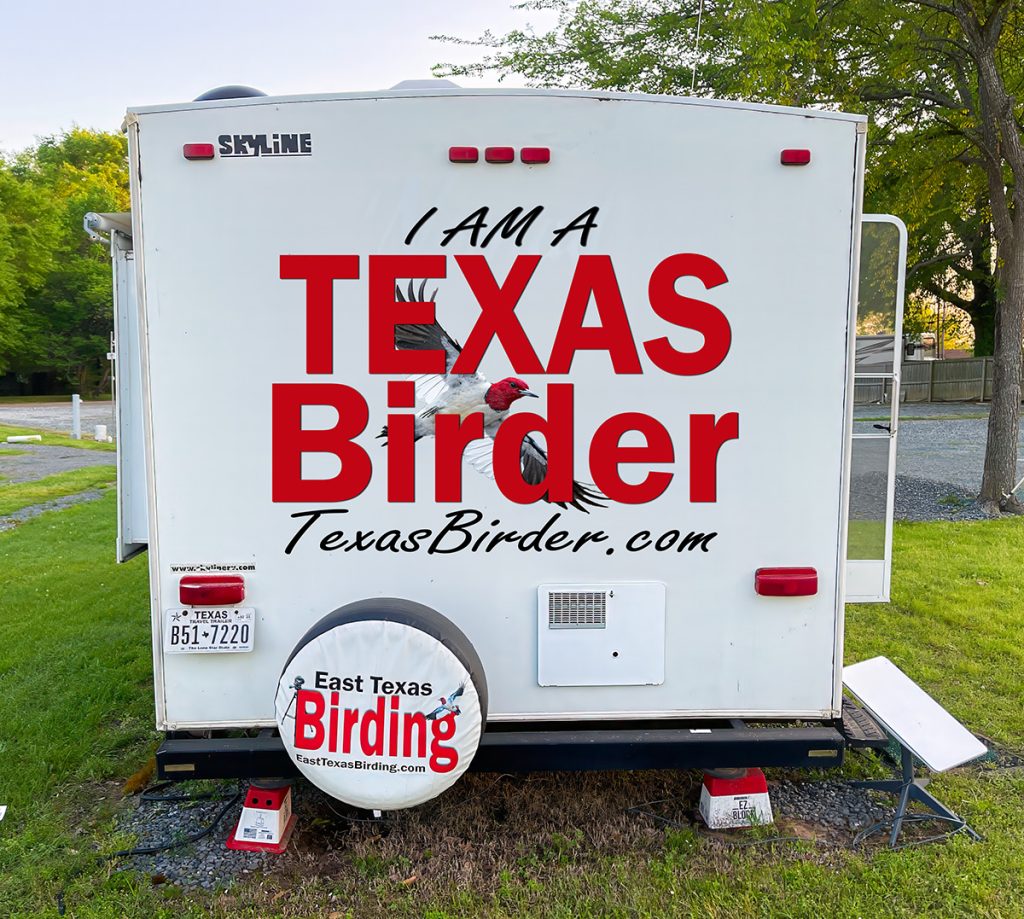 Texas Birder Camper -