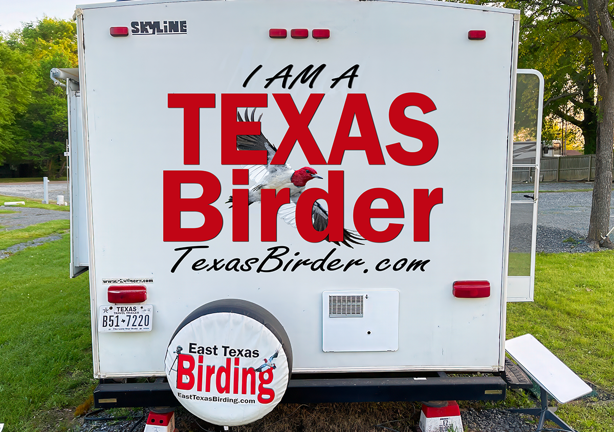 Texas Birder Camper -