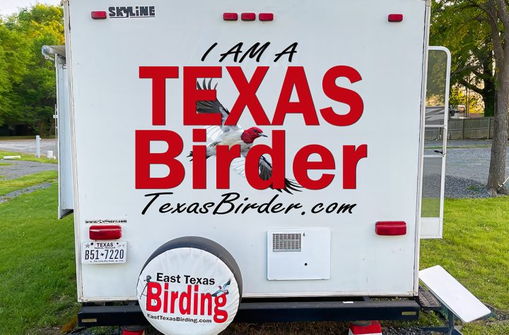 Texas Birder Camper -