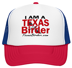 Texas Birder