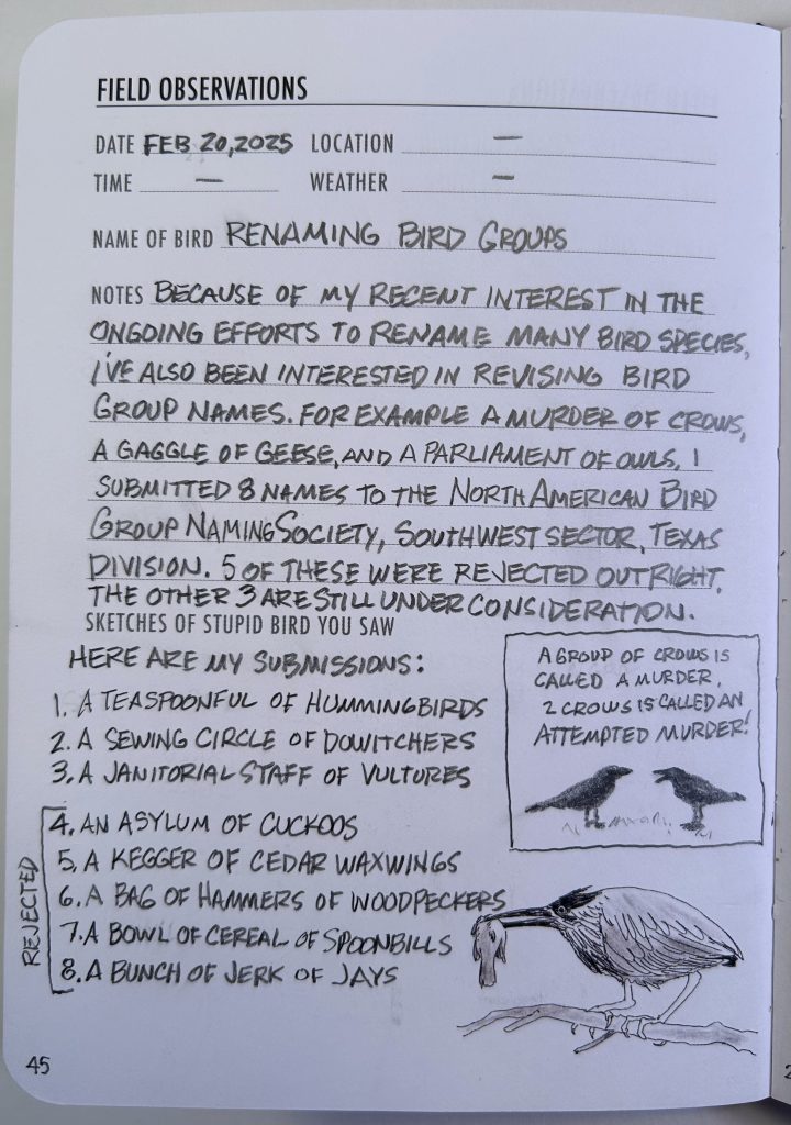 022025RenamingBirdGroups