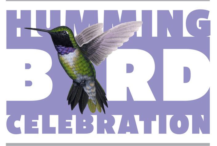 Davis Mountain Hummingbird Festival