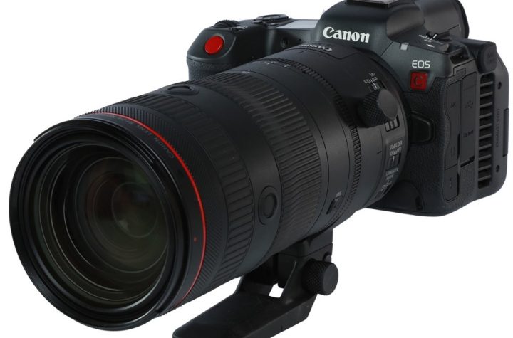 Texas Birder Photography - Canon R5 Back Button Focus