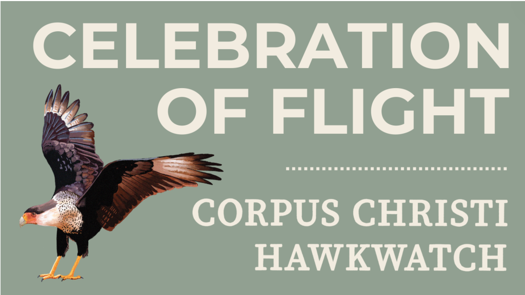 Celebration of Flight - Hawkwatch - 09/26-28/2025 1 Celebration of Flight at Texas Birder