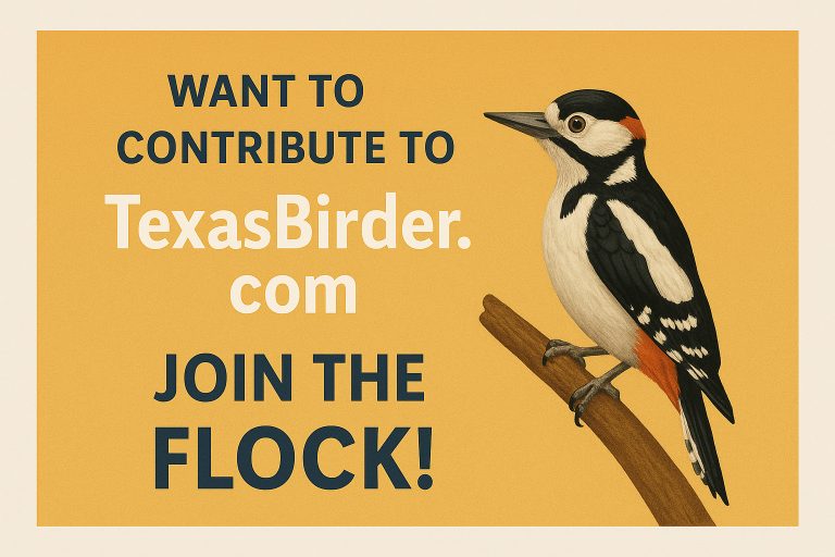 Join us at Texas Birder - Texas Bird IDs, Texas Bird Products, Texas Birder Blogs --