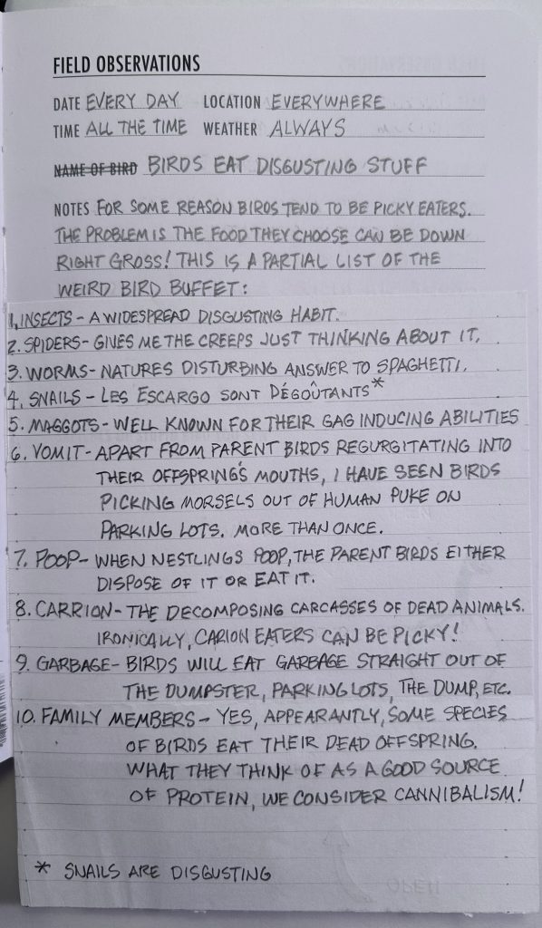 East Texas Birding Humor - Birdbrain Blogs - Brian Sanders