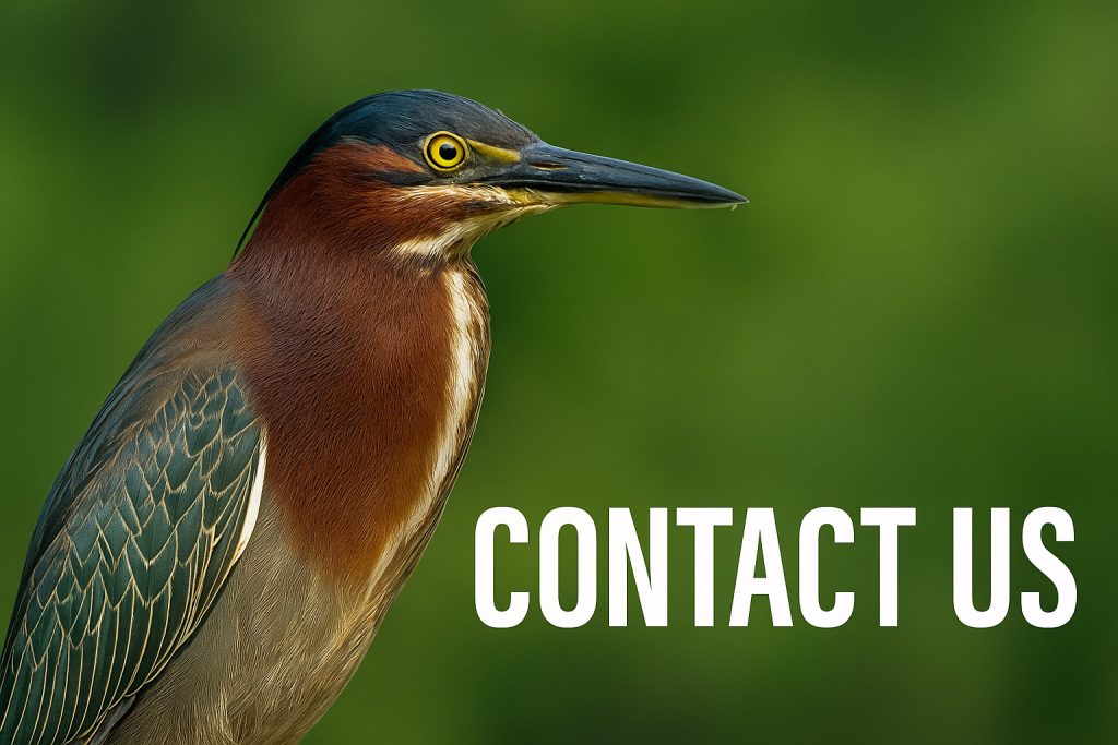 Contact Us at Texas Birder. Everything a Texas birder needs.