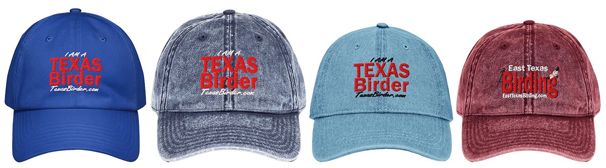 I Am a Texas Birder hat, cap - Show your pride in being a TexasBirder.com.