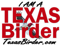 East Texas Birding - Birding Blogs, Texas Bird IDs, Texas Birder Association