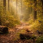 I Didn’t Start Birding to Be Impressive