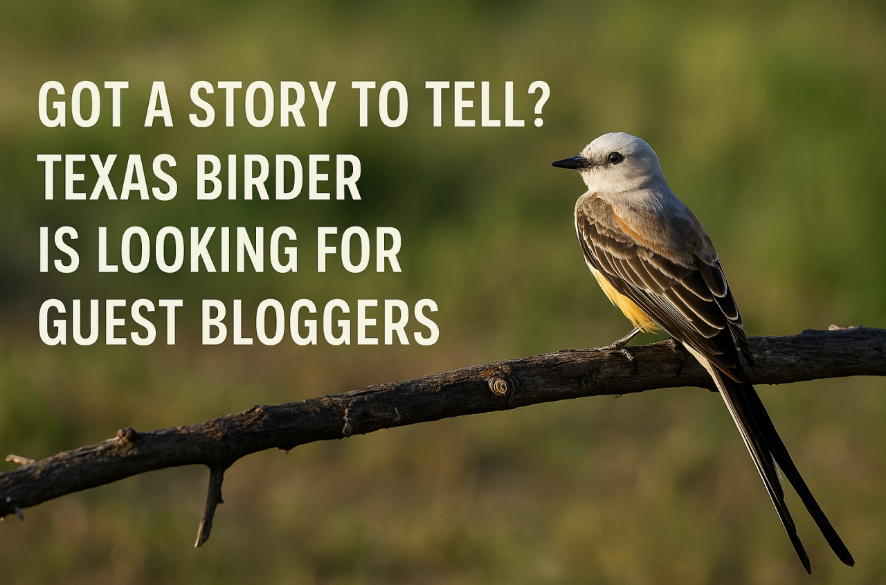 Texas Birder is looking for bloggers