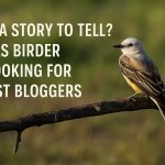 Beginner or Expert, Your Texas Birding Experience Matters—Write for Texas Birder