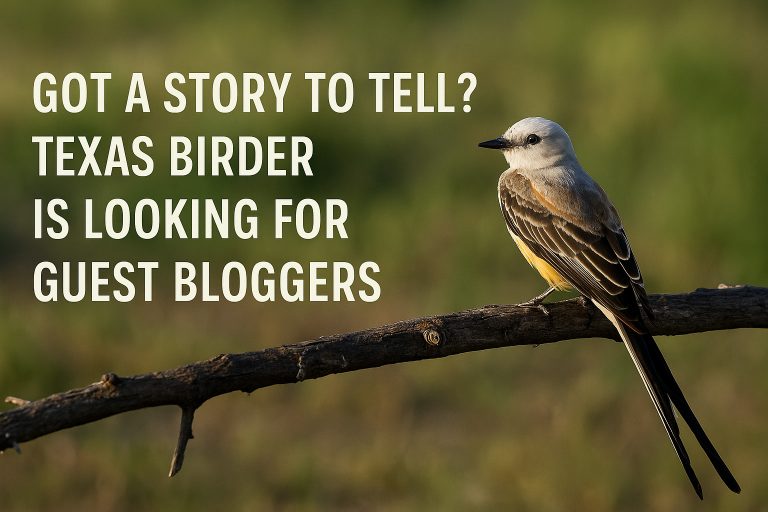 Beginner or Expert, Your Texas Birding Experience Matters—Write for Texas Birder 12 Texas Birder is looking for bloggers
