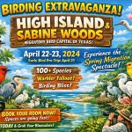 Spring Migration 2026 –  Incredible High Island & Sabine Woods Field Trip 04/21-23/26