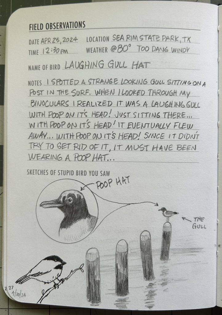 Birdbrain Blog - Laughing Gull Hat, Texas Birder Birding Blogs