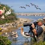 The Ultimate 2026 2-Day High Island Birding Guide