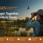 Texas Ornithological Society Membership Benefits: Why Every Texas Birder Should Join