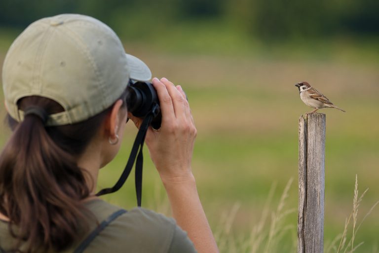 Beginning Birders, BirdNerds, Texas Birder Blog for new birders